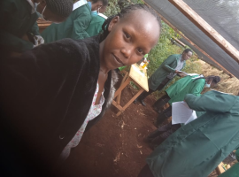 chemutaicarol.gnomio.com